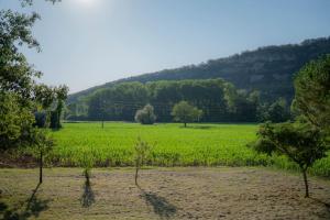 Maisons de vacances Maison de campagne a 5 kms de St Cirq Lapopie : photos des chambres