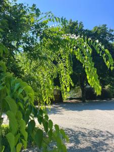 Campings camping Youpendi : photos des chambres