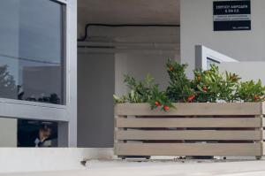 AAA Luxury Residences