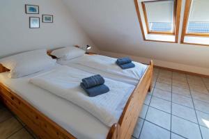 Ferienhaus Seewind 11 2
