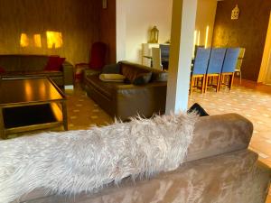 Lilly bulles en Champagne piscine et jardin privée