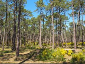 Appartements Appartement rez-de-chaussee : photos des chambres