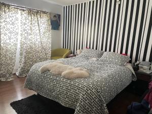 Casa de Campo Familiar 15 minutos Lago Ranco