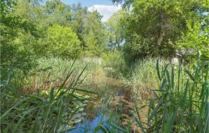 2 Bedroom Gorgeous Home In Vejby