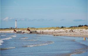 3 Bedroom Beautiful Home In Blåvand