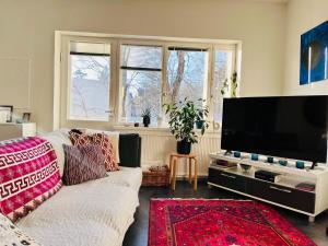 Cozy Condo in Käpylä