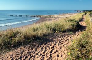 TEIGNBRIDGE - Delightful caravan on a peaceful caravan park in Dawlish Warren