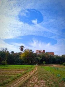 Riad iriki - Timatraouine