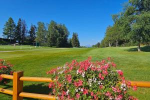 Charming Chalet Downtown