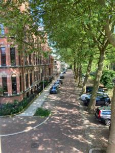 Cozy room just outside Utrecht Center, calm & green