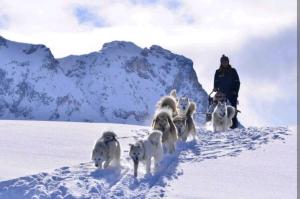 Appartements Le Nuage - 2050 Belle Plagne, F2 Ski aux pieds : photos des chambres
