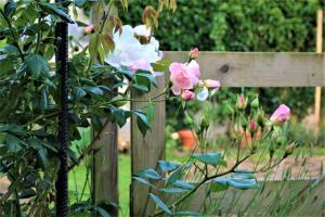 B&B / Chambres d'hotes La Casanyeres BnB - Campagne Normande - 5min Mer - Cabine de Plage : photos des chambres