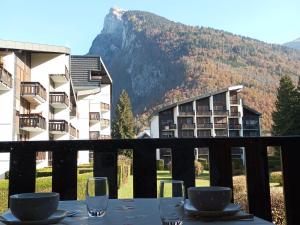 Studio cabine pour 4 pers, animaux acceptés, internet, vue montagne - FR-1-629-136