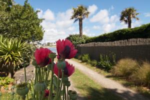 Villa Prat Bras - Appartements : photos des chambres