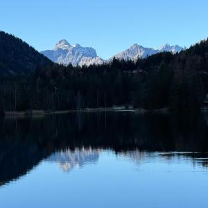 Petit Canada - Studio à louer