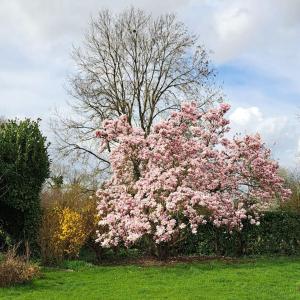 Une fenêtre à la campagne