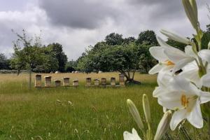 Une fenêtre à la campagne