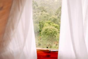 Chalés Recanto do Vale - GRALHA AZUL