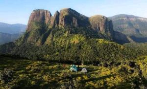 Green Nature Villa - Vily, Digana