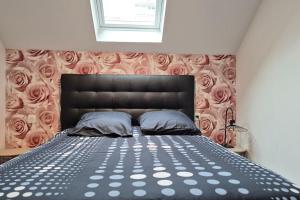 Appartements Balneo Nuits Douces Rouen : Appartement 1 Chambre