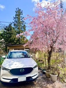 Grand Open!! Guest House 圭堂-Seidou- Free for rental bicycle and the washing machine and dry machine!!自転車レンタル無料!!無料ランドリー有!!