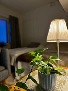 Viihtyisä asunto ydinkeskustassa