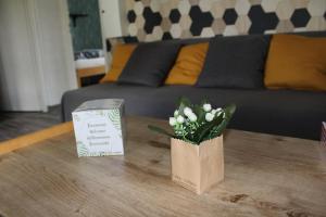 Maisons de vacances Gite nature - 4 personnes a Signy-le-Petit : photos des chambres