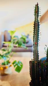 Maison Bouquiere Le Pigeonnier