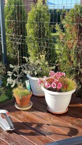 Studio FAMILY like home