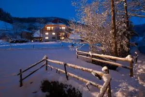 Schätzlehof - 温登伊姆埃尔茨塔尔