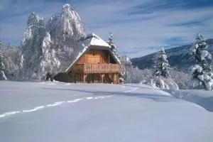 Magnifique chalet 6 couchages au calme - Les Déserts