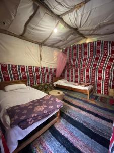 Forest Camp Siwa - كامب الغابة