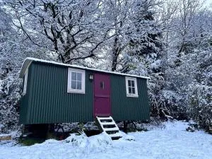 Tranquil Cabin Retreat near Chepstow - 卡尔迪科特