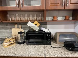 Mtskheta Apartment 158