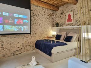 25 rue Celony - Le Vendome - Jacuzzi - VideoProjecteur