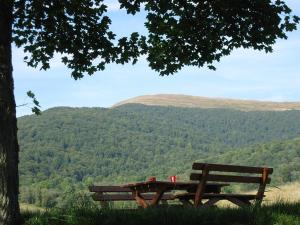 Całoroczne Domki Zacisze Hnatowego Berda w Wetlinie