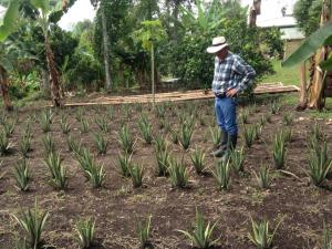 Romantic Cabana with View on Finca La Luisa
