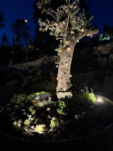 Quinta Santo Antonio