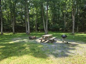 Swallow Falls Cabin 2