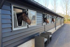 Royaal appartement P&B t Hoeves