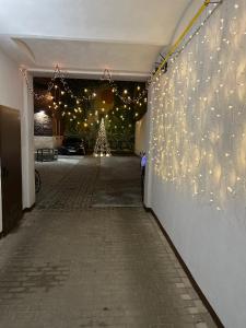 Comfortable apartment for 1-4 guests