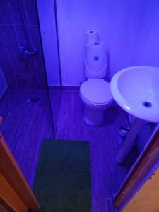 Acogedor apartamento entero