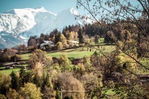 Appartements Appartement Margot - All the comforts with a view of Mont Blanc : photos des chambres