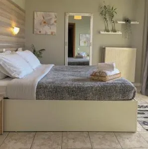 Park Hotel Polykastro - 内戈蒂诺