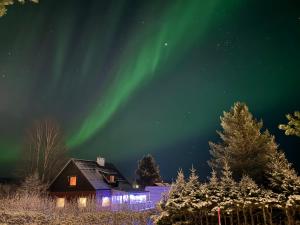 Cozy house in heart of Swedish Lapland