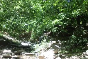 imintanoute - Arrougou