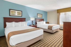 Queen Room with Two Queen Beds - Disability Access - Non Smoking room in Best Western Plus Sikeston