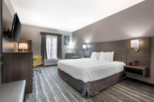 King Room - Non-Smoking room in Hampton Inn Mattoon
