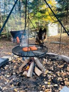 Domek bez adresu- tu nikt Cię nie znajdzie