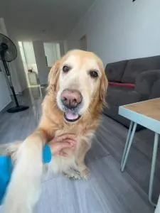 Quinti House - La Venta Alta